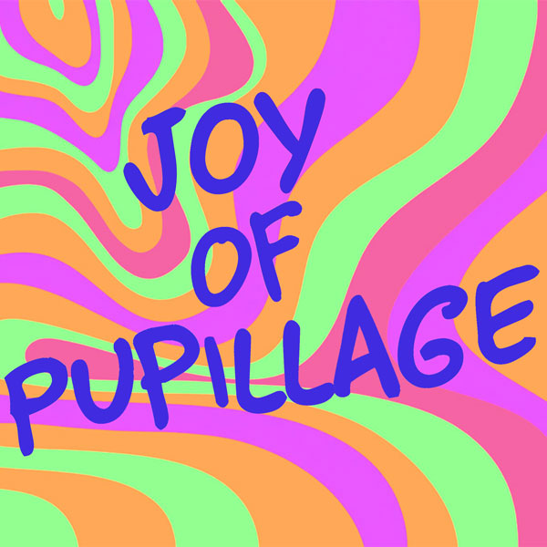 Joy of Pupillage